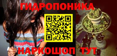 тгк Будённовск